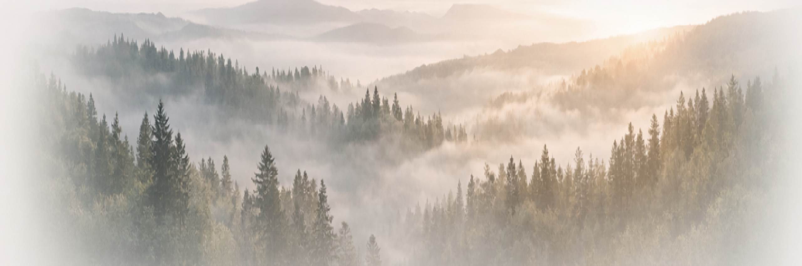 QUADRO — атмосферный визуальный фон